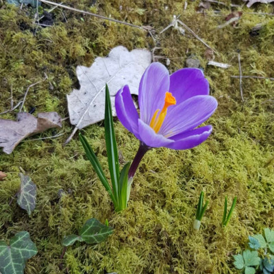 freuen sich über die Natur