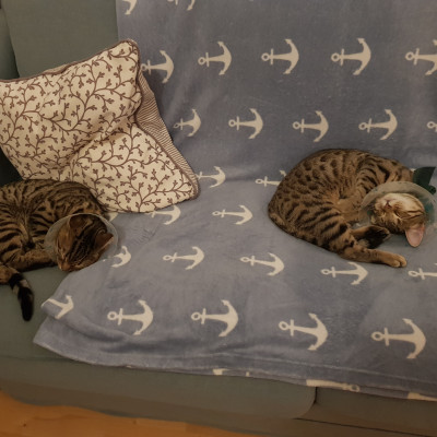 Kuschelzeit