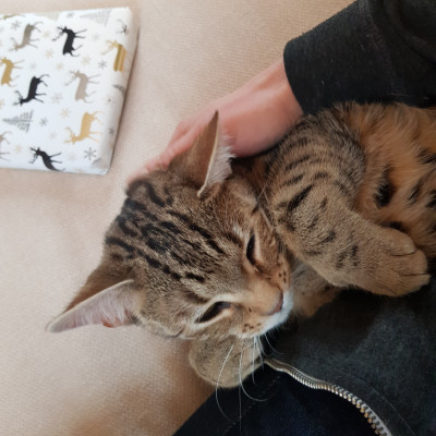 Luna