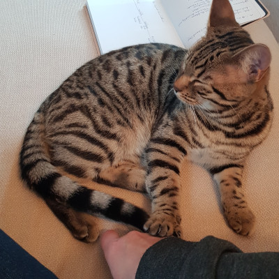 Leo
