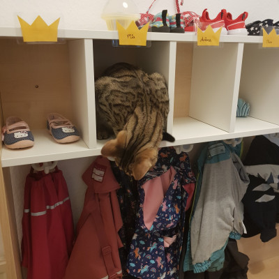 lebende Garderobe